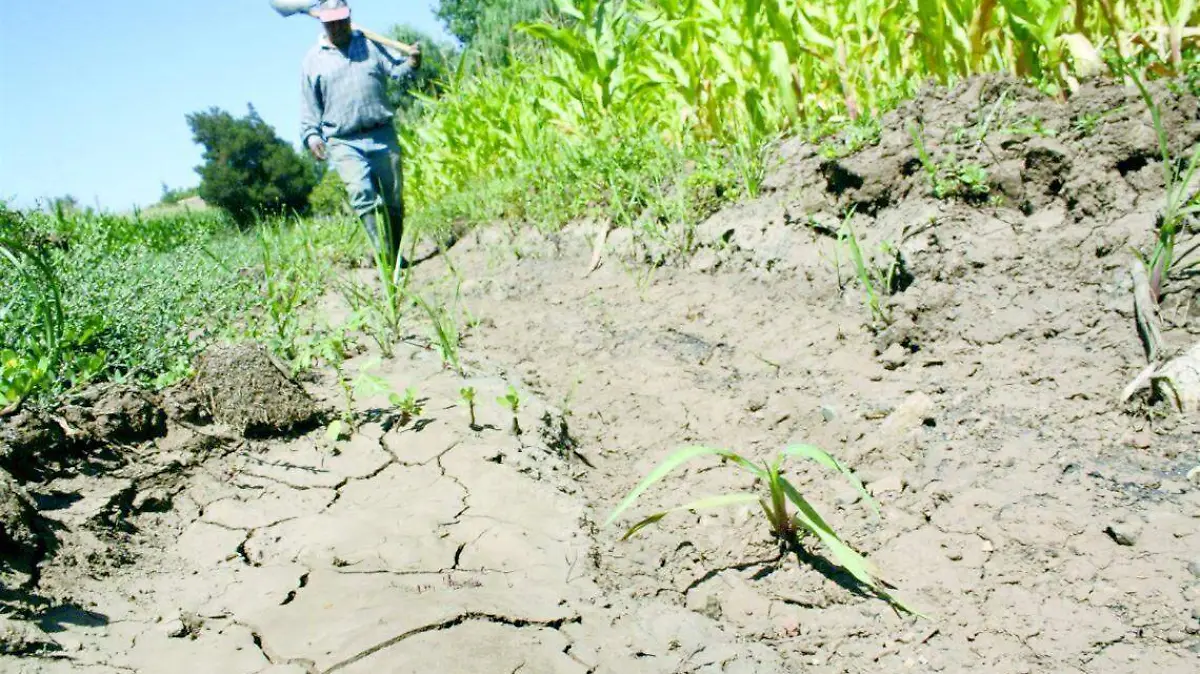 8b8c5401-5568-48fd-a00d-5fd4cb98a8fa