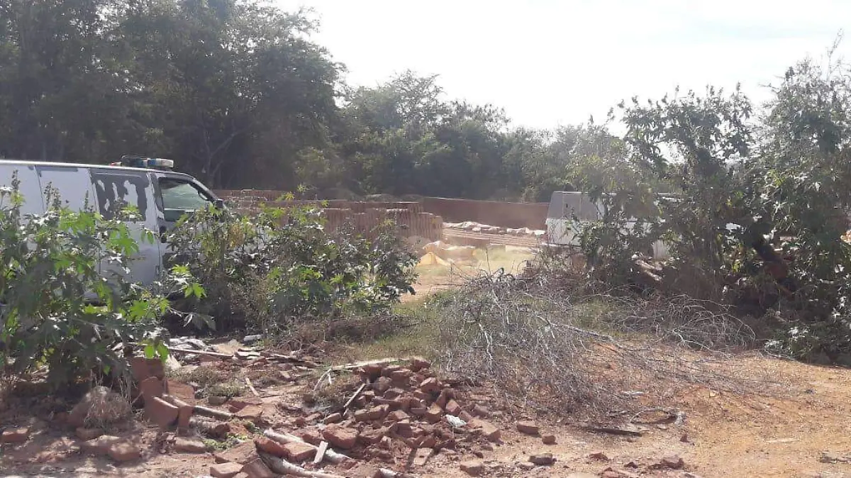 1f25c421-2d82-426d-bd02-eb641eff7b5c