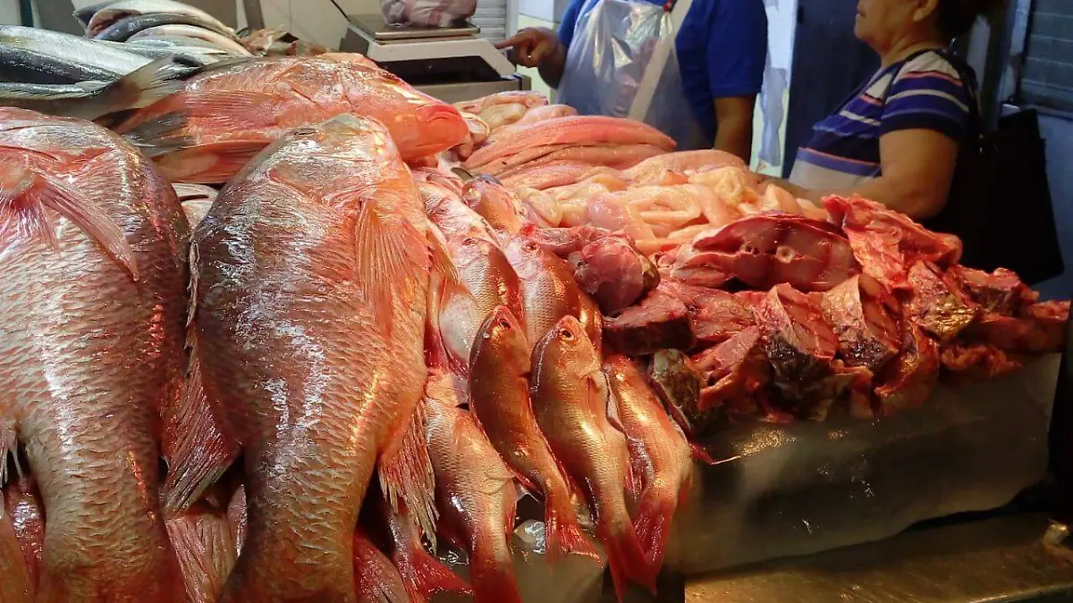 0a075aa6-aa20-4aa3-a94e-20a51e18a0a1