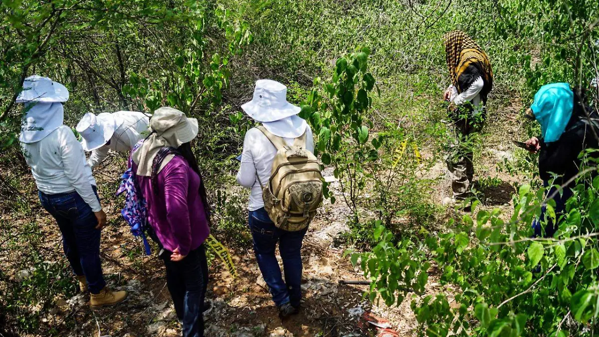 839c9c28-83e9-4284-827d-b927bce495fe