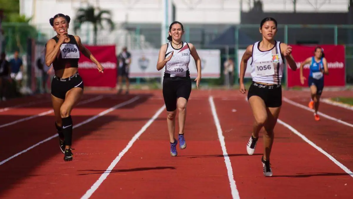 WhatsApp Image 2023-10-31 at 13.26.33