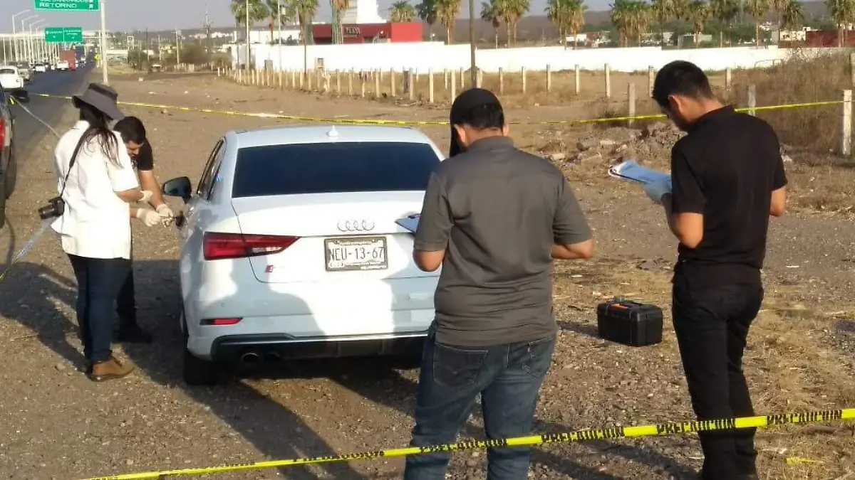 d3e13975-8b12-4113-a2d8-6ee7ef3f163c