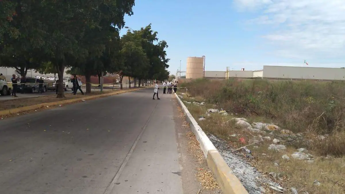 51e42abe-9a7b-41c0-b38d-4af573e9bc69