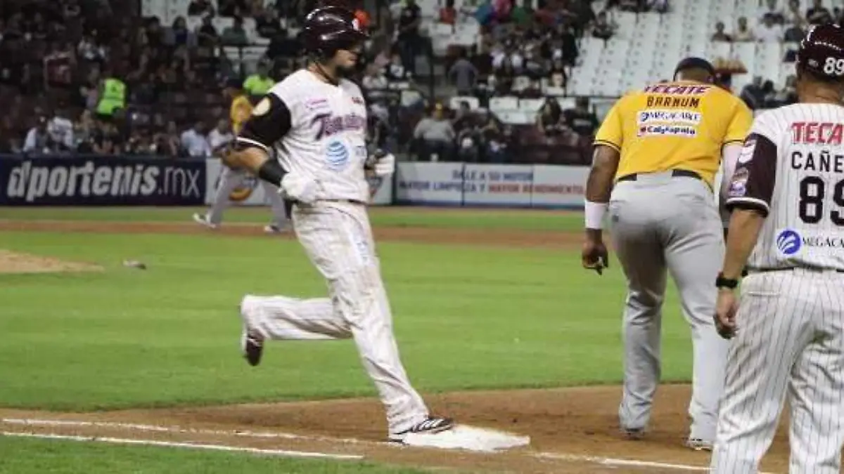 TOMATEROS TRES