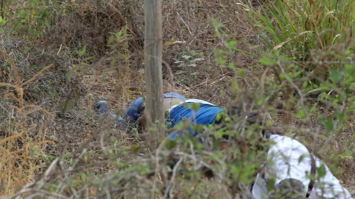 52c1dc3f-a7c8-4e75-8f99-3252ed236ebc