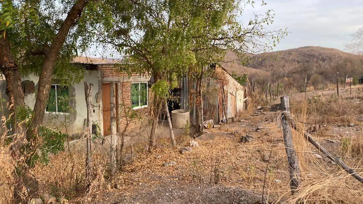 WhatsApp Image 2023-05-19 at 11.46.34