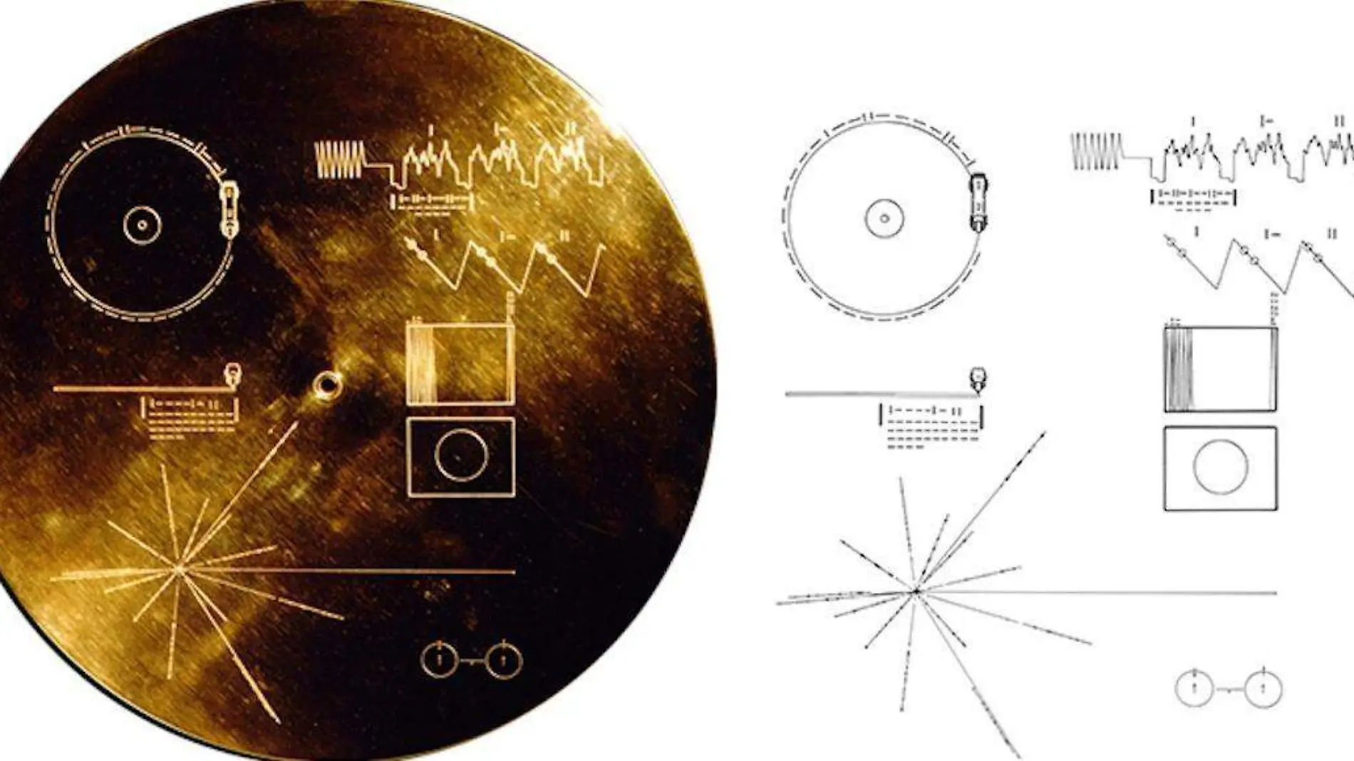 disco-dorado-nasa