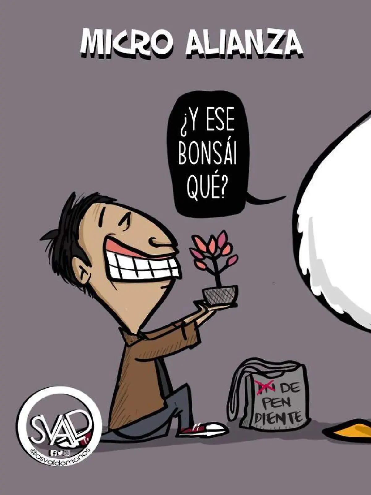 Micro Alianza