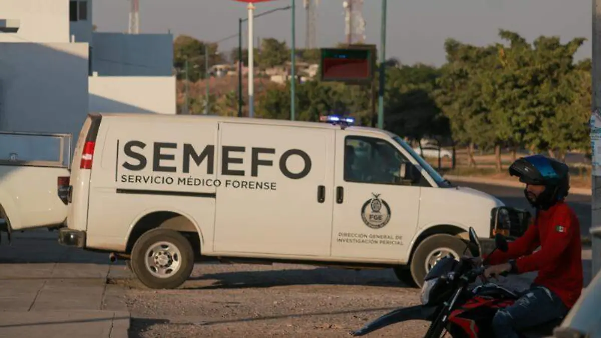 semefo