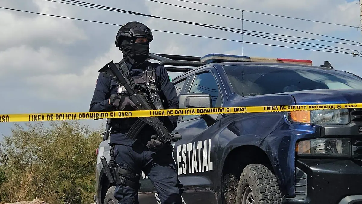 policia-estatal-tematica