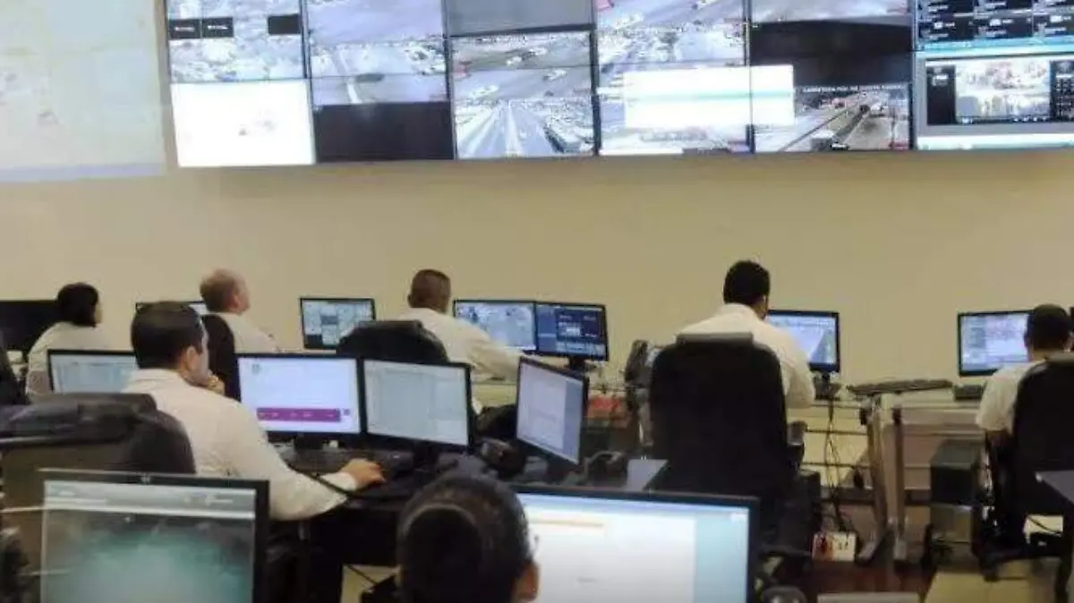 WhatsApp Image 2025-01-17 at 8.36.44 AM