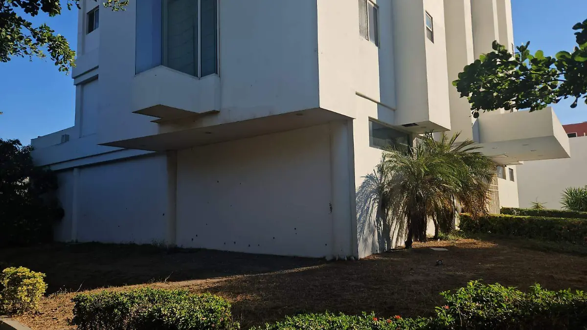 WhatsApp Image 2024-11-28 at 9.24.20 AM (1)