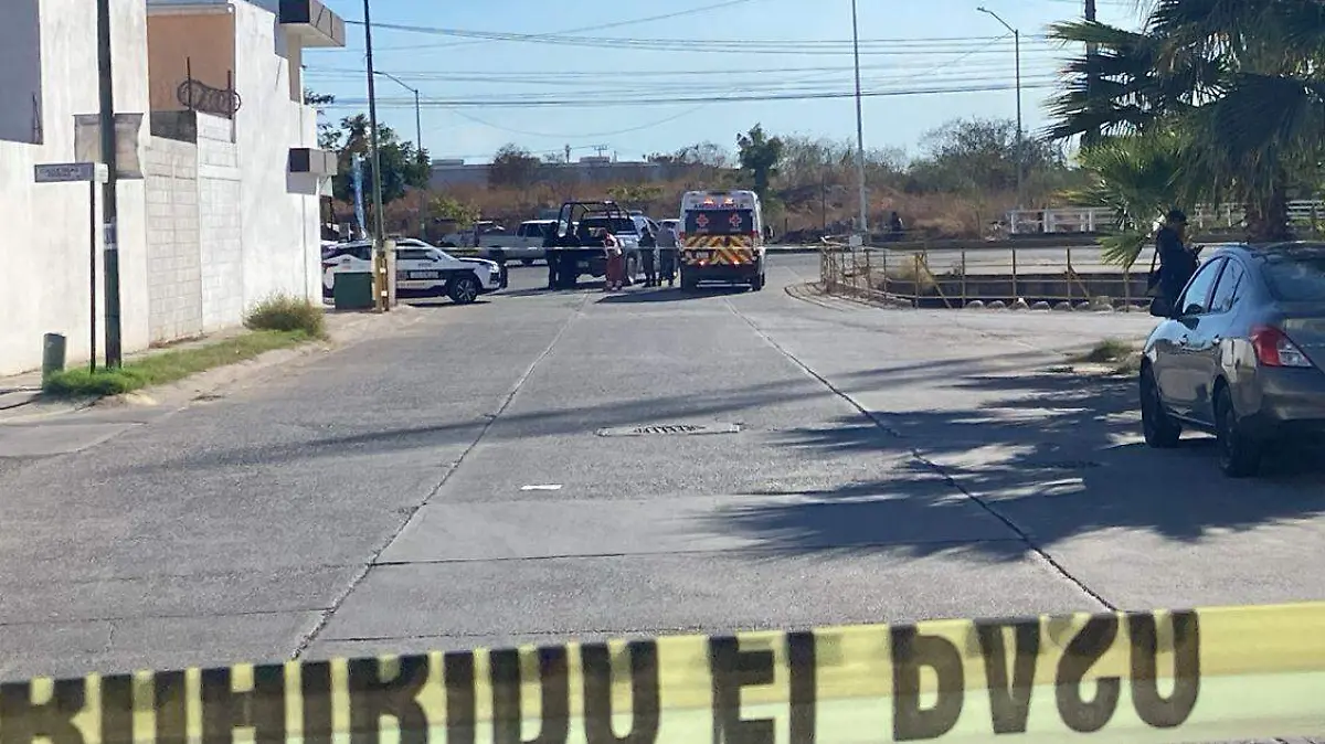 WhatsApp Image 2025-02-13 at 3.30.37 PM