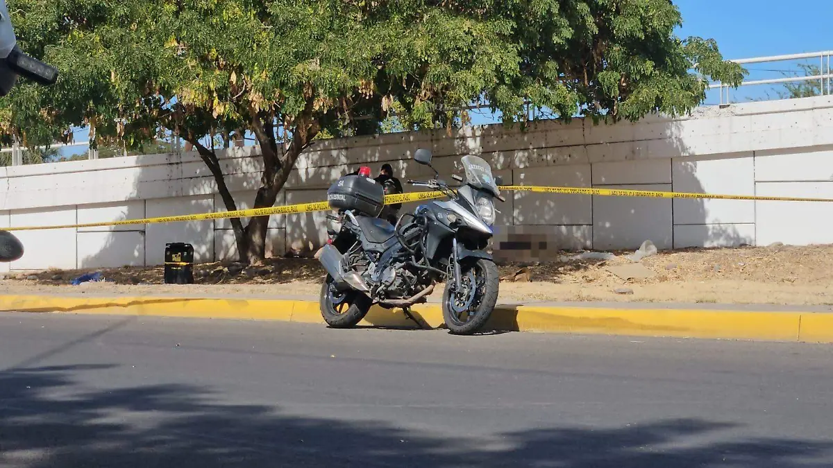 WhatsApp Image 2025-02-20 at 2.50.34 PM