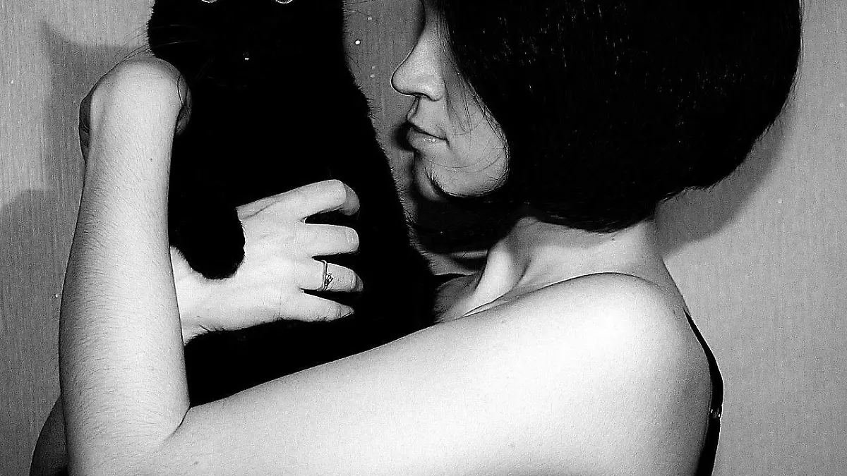 black-cat-1209303_1280