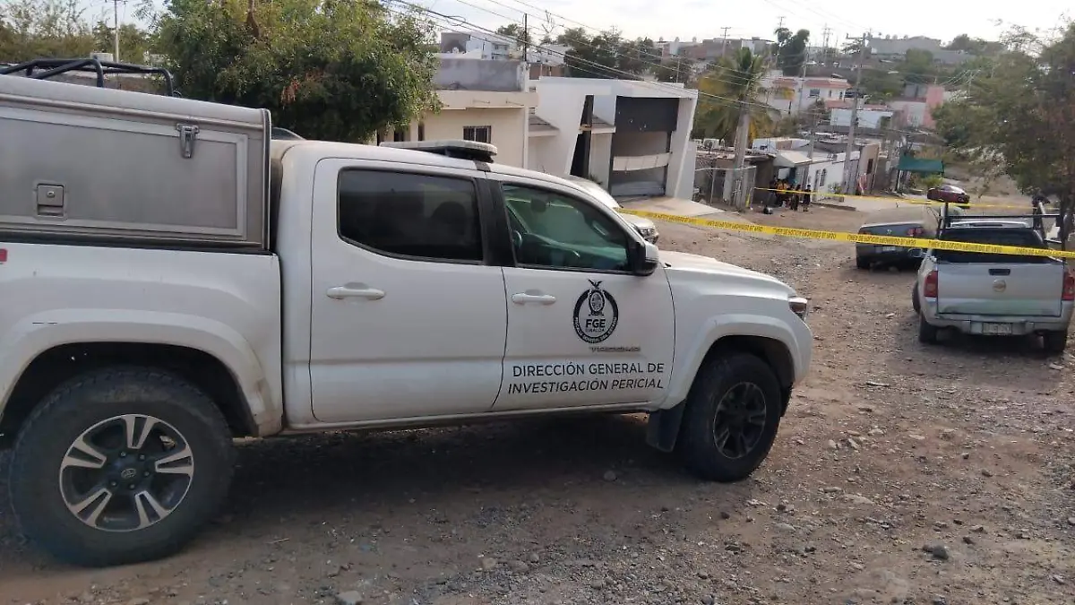 Reporte-personas-lecionadas
