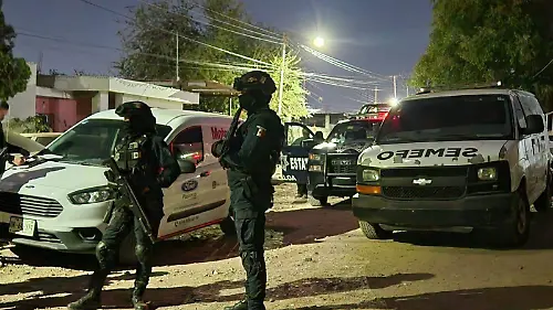 policias-tematica
