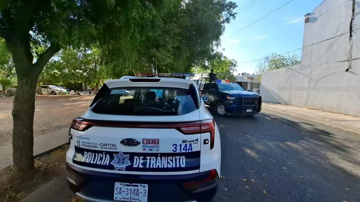 detenido-camioneta- robada