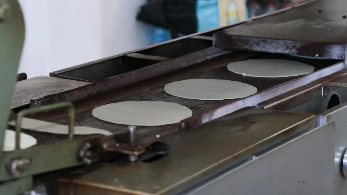 tortilla-semana