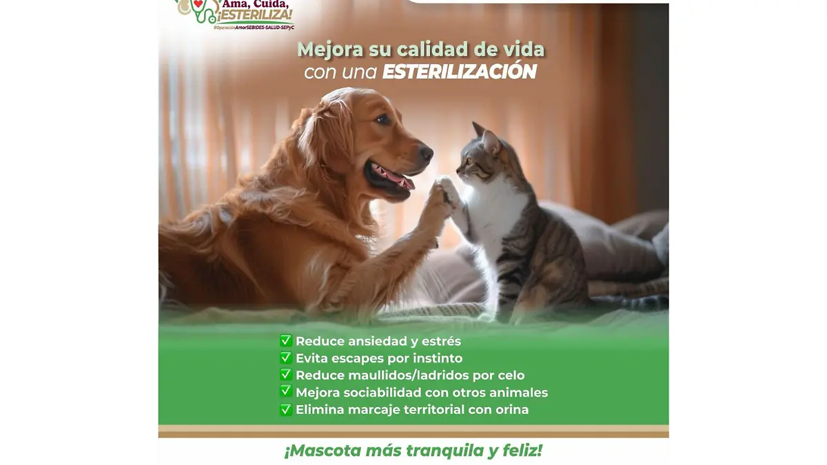 Campaña-esterilización