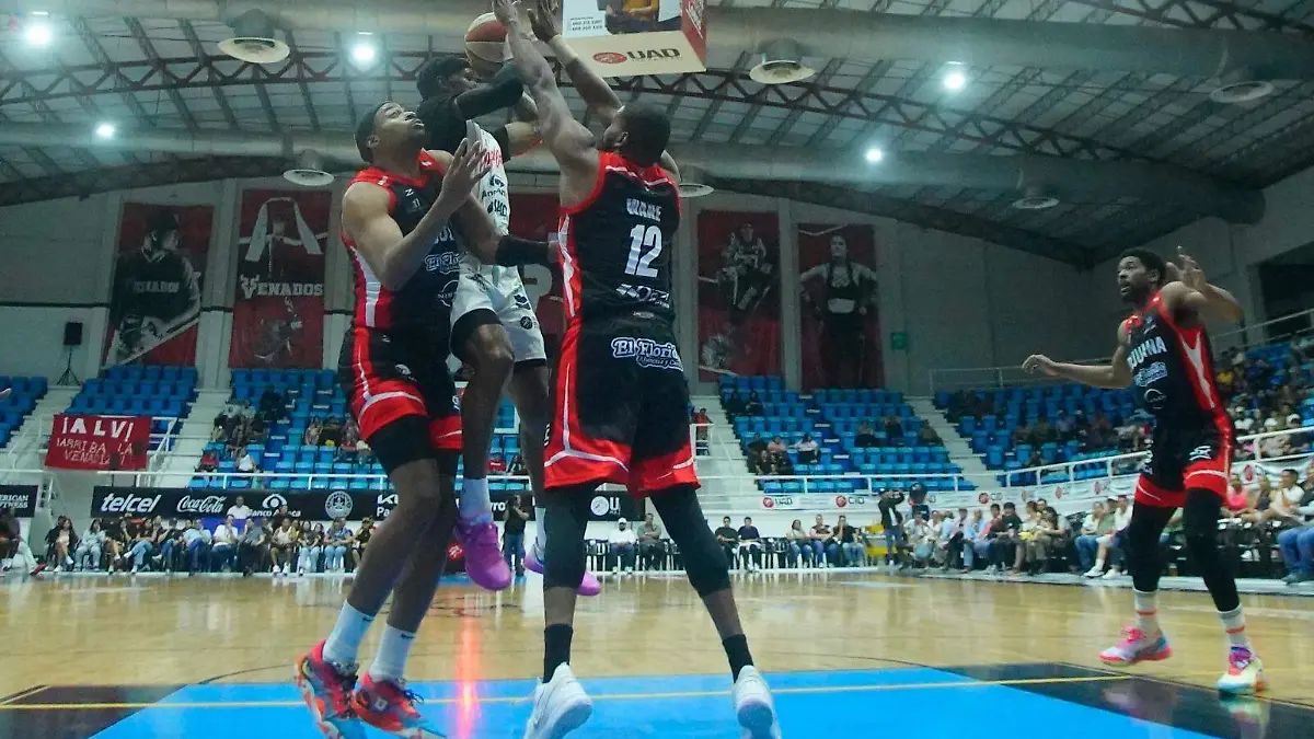 Venados-basquet