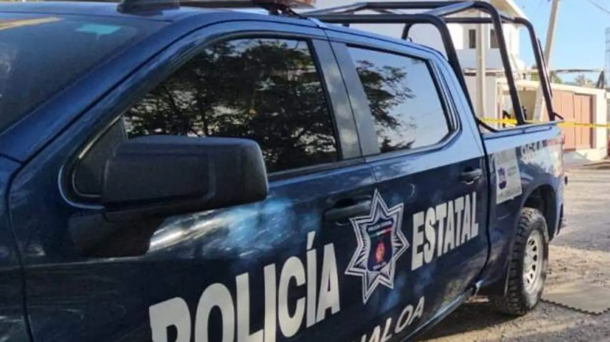 polis-estatal