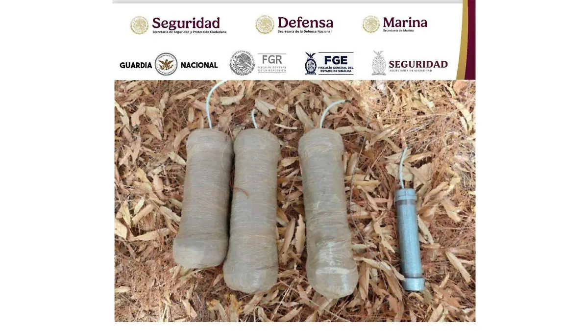 Explosivos-badiraguato