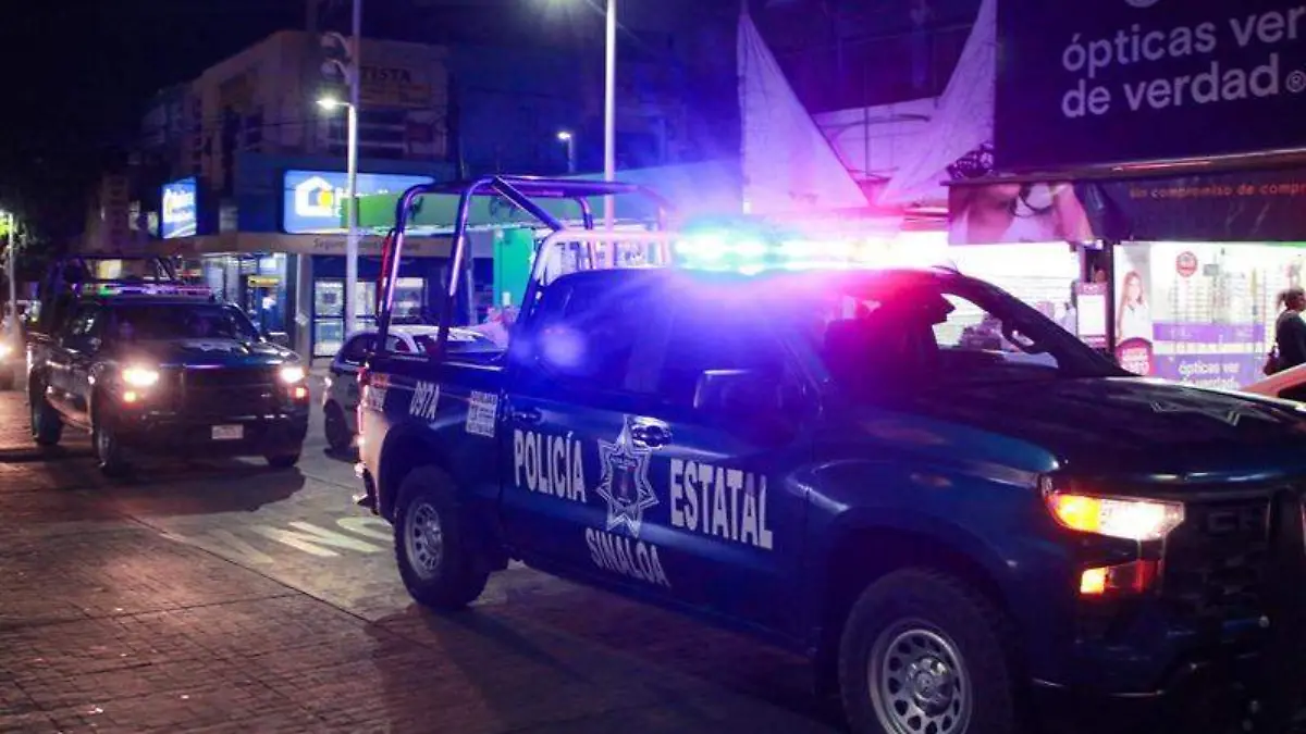 polis- vigilando