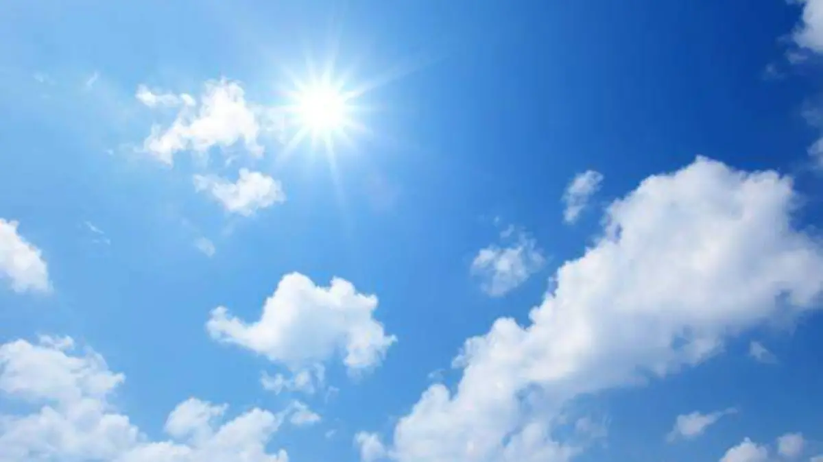 istockphoto-1151056603-612x612