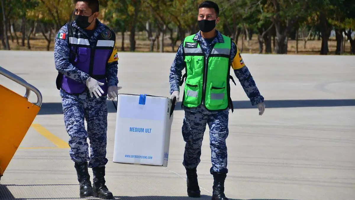 Vacuna Covid Salvador Alvarado