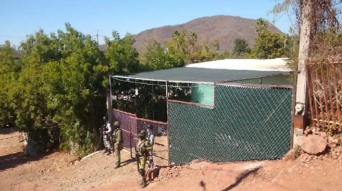 53a2f671-b214-48ff-a182-b6ff29b286de