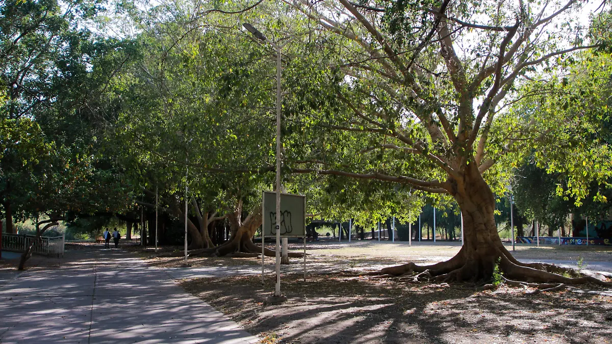 WhatsApp Image 2025-06-12 at 10.00.11 AM