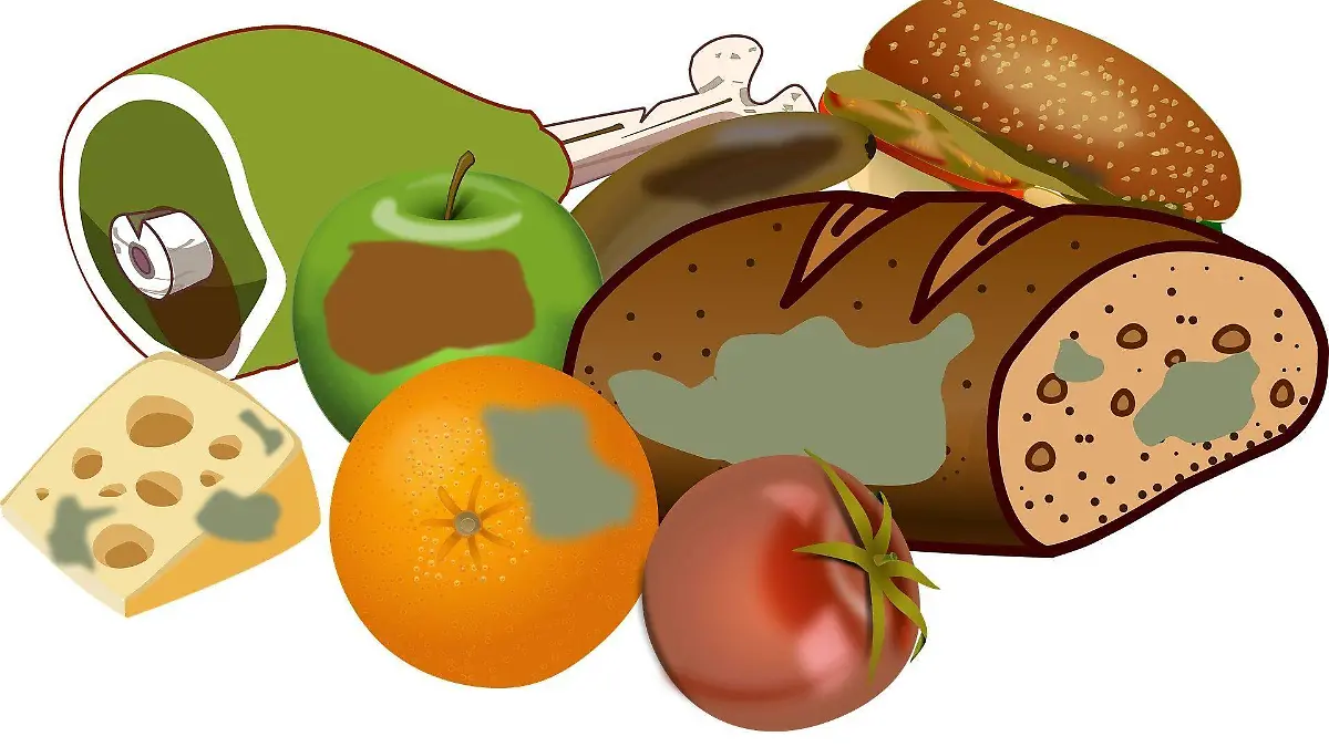 Alimentos