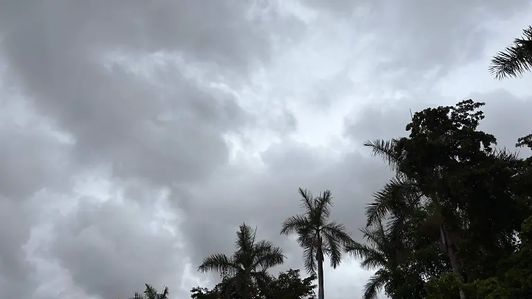 WhatsApp Image 2025-06-17 at 8.40.12 AM (1)