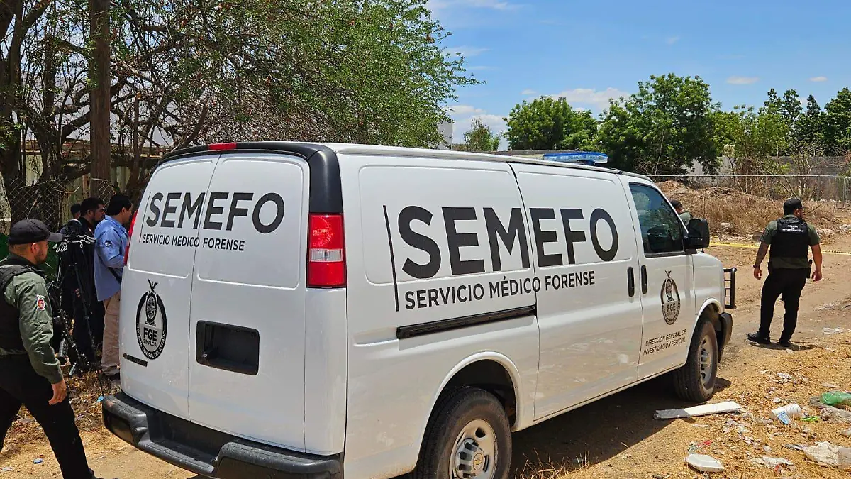 semefo