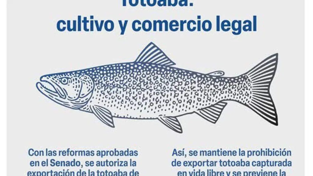 totoba