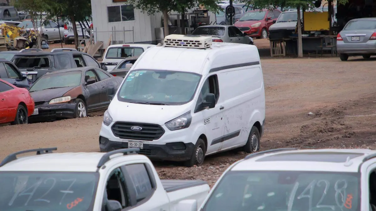 WhatsApp Image 2025-06-30 at 12.05.28 PM