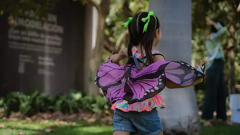 Aprender en la naturaleza: talleres de verano en el Jardín Botánico de  Culiacán - El Sol de Sinaloa | Noticias Locales, Policiacas, sobre México,  Sinaloa y el Mundo