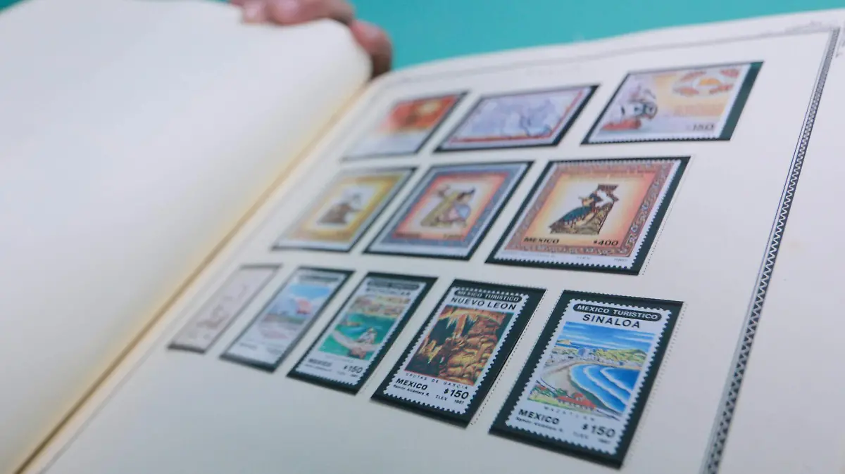 Francisco-archivo-vida3