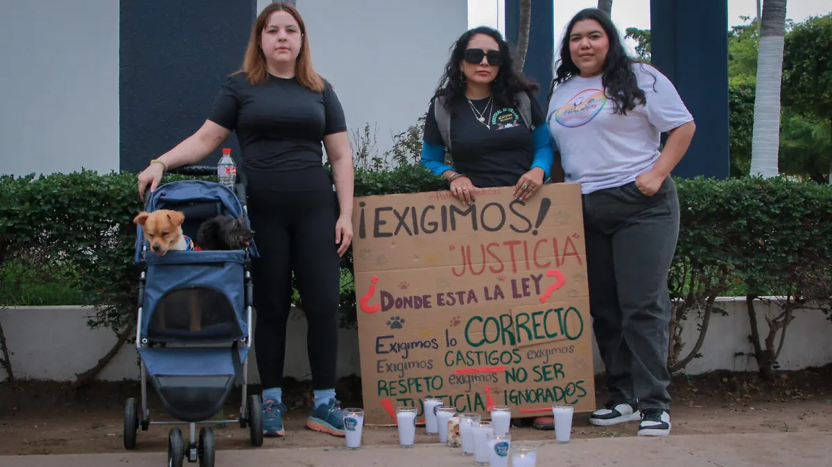 manifestacion-activistas-mascotas