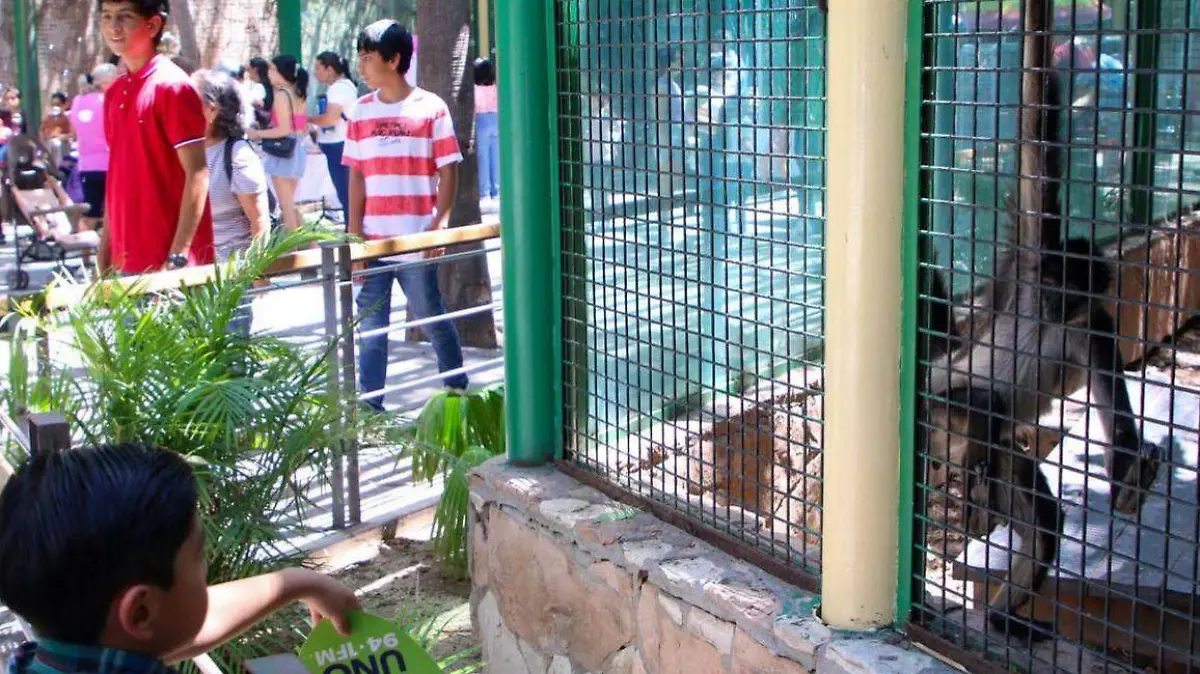 zoo-culiacan