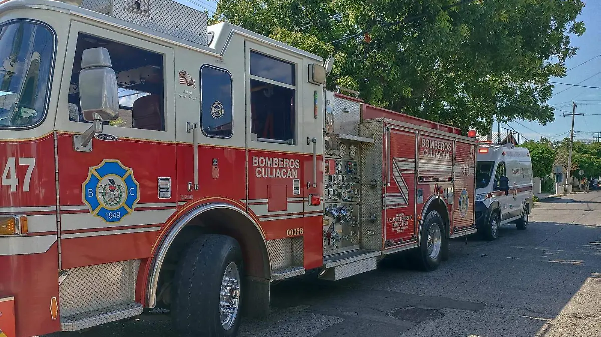 WhatsApp Image 2025-08-25 at 11.05.07 AM