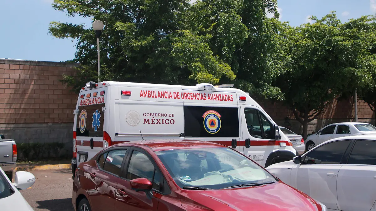 WhatsApp Image 2025-08-29 at 2.27.36 PM