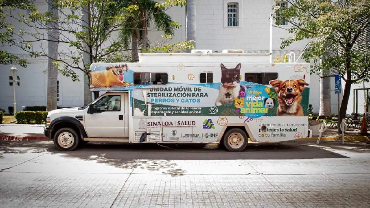 esterelizacion - perro - gatos