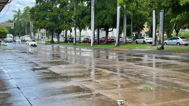 WhatsApp Image 2025-09-26 at 3.25.19 PM