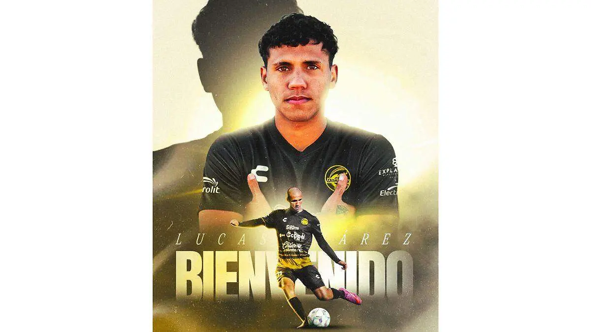 Dorados11