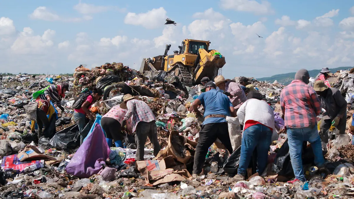 desplazados - desplazados