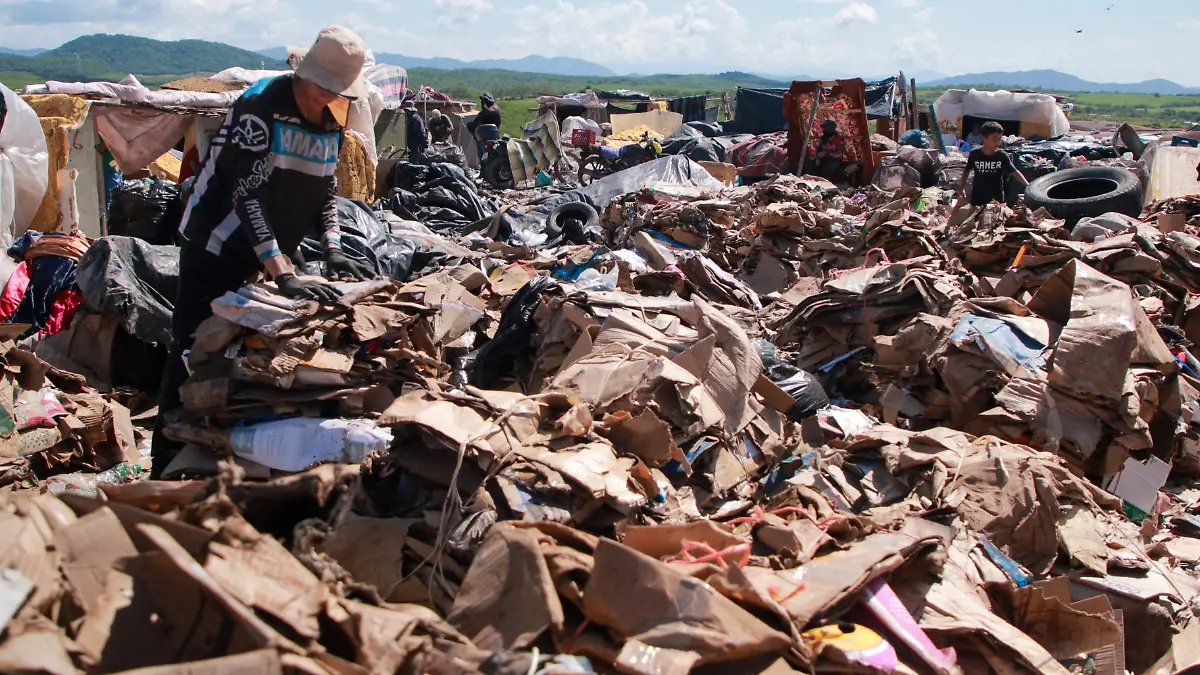 desplazados - basura