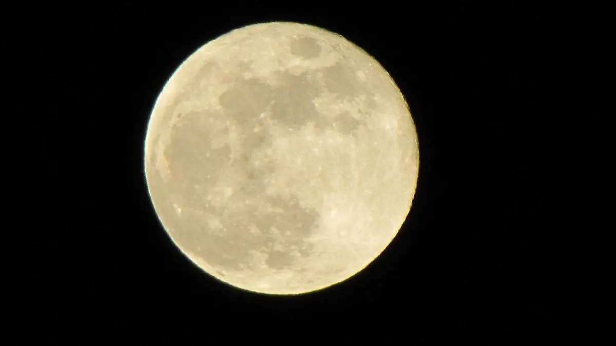 Luna-tendencia-tematica