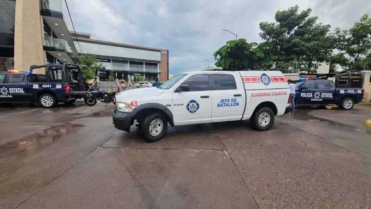 poli- estatal- ejecutado